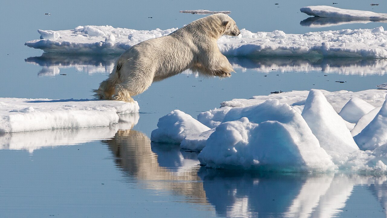 Svalbard Arctic Explorer